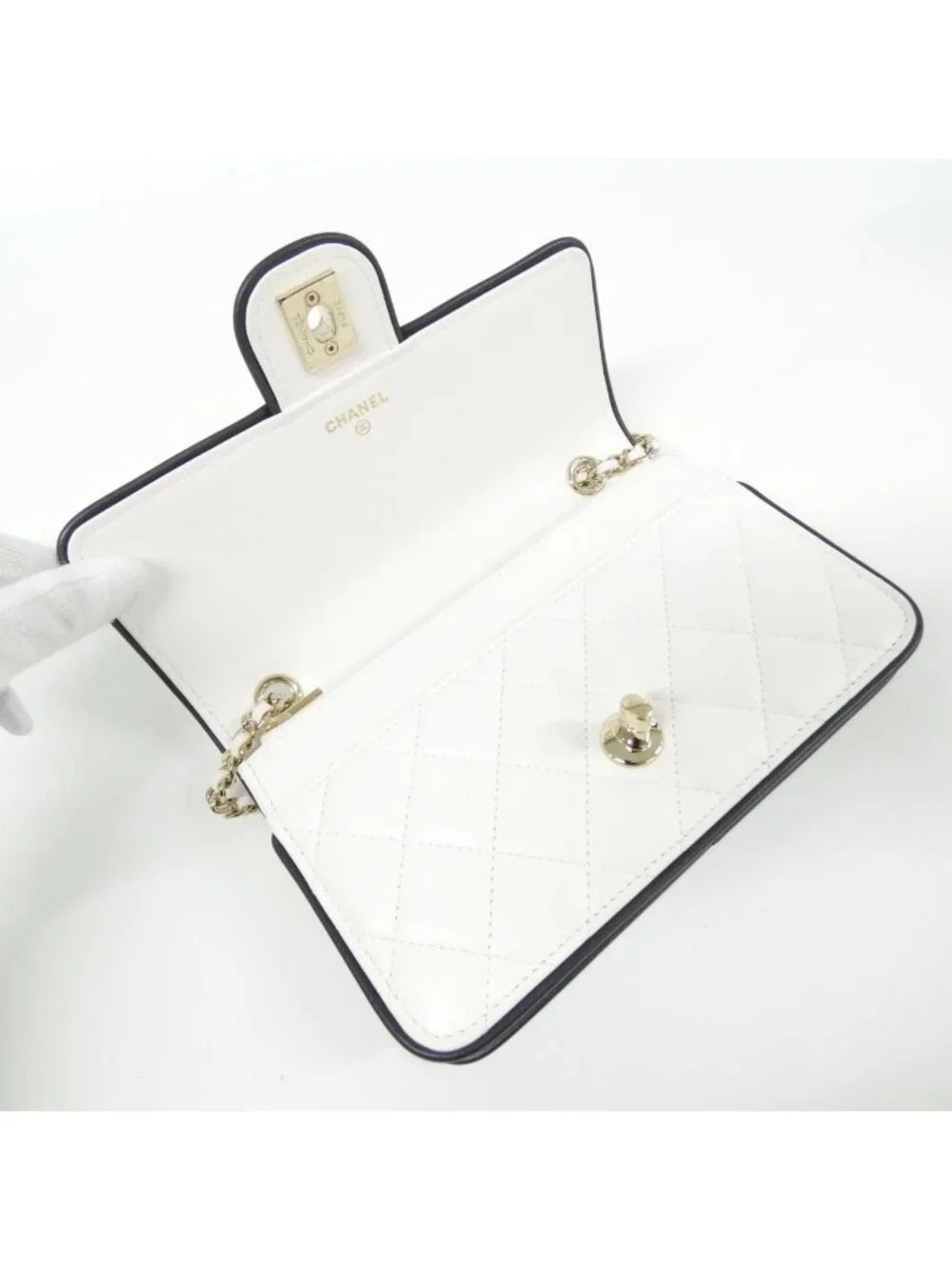 Chanel Chain Wallet Shoulder Bag